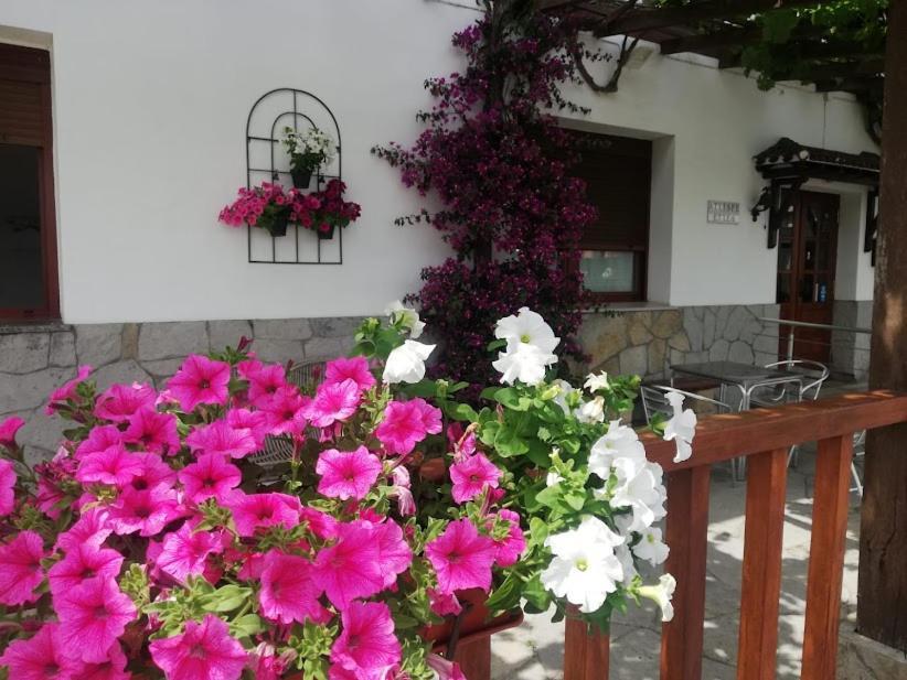 Atxispe Etxea Casa Rural Laukiz Exterior photo